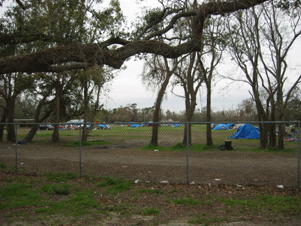 katrina17.gif
